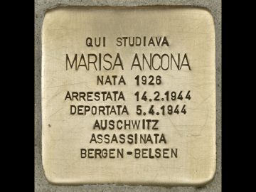 Slideshow per sito 22_23.006